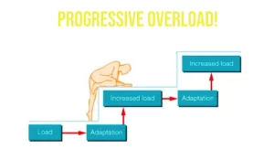 ProgressiveOverload - Returning to Activity After the Summer Break - Platinum Physio