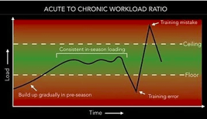 Screenshot 2020 11 07 at 12.36.33 - Returning to Activity After the Summer Break - Platinum Physio