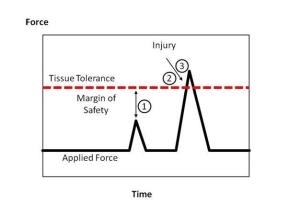 tendon load tolerance - Returning to Activity After the Summer Break - Platinum Physio